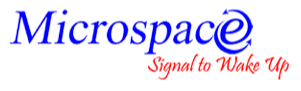Microspace Infotech Private Limited